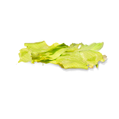 lechuga